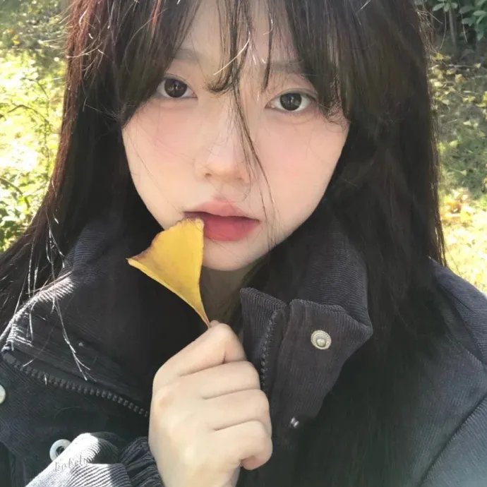 权宠
